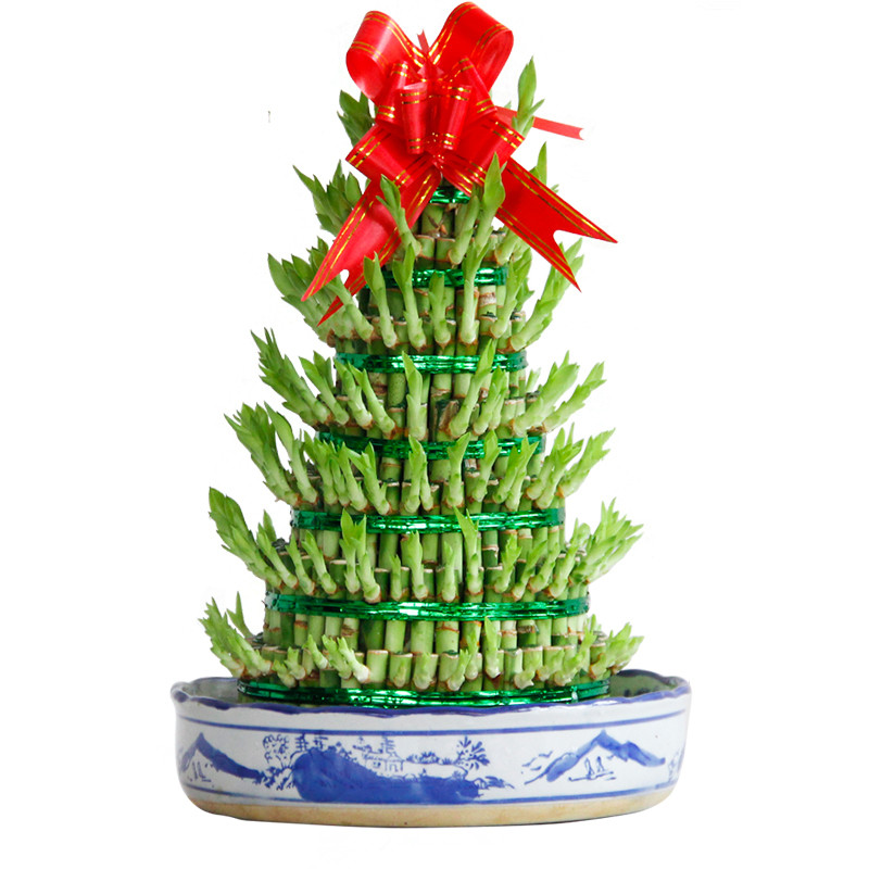 富贵荣华
