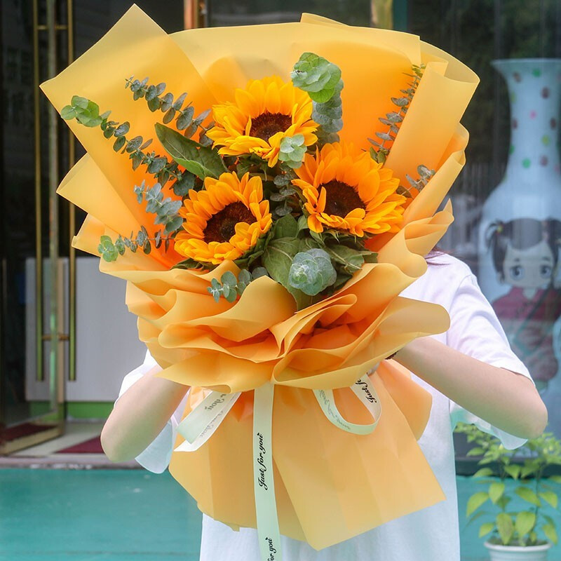 阳光入怀